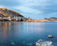 Новобудова - Вілла - Alicante (San Juan) - 