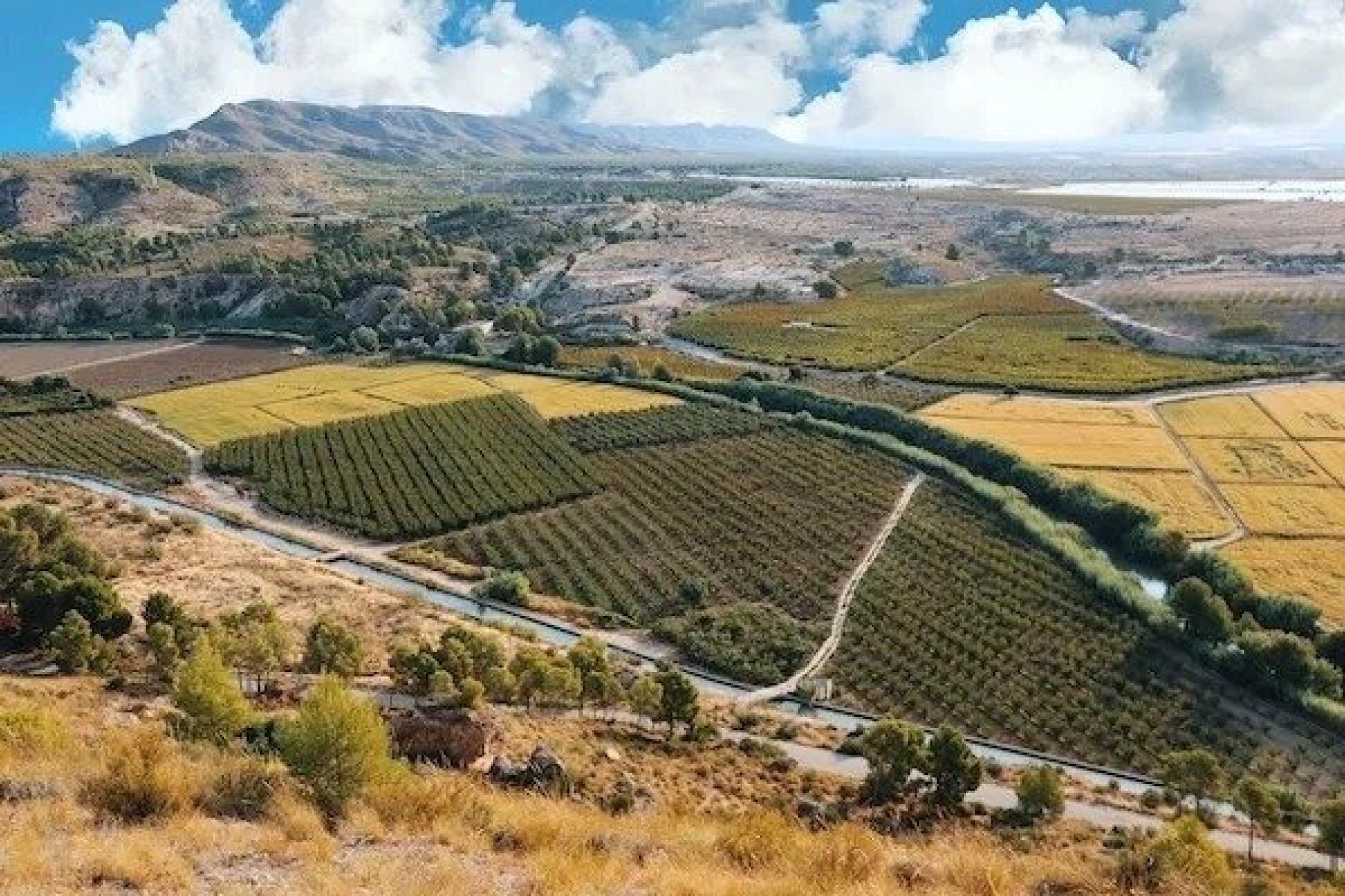 Новобудова - Вілла - Calasparra - Coto Riñales