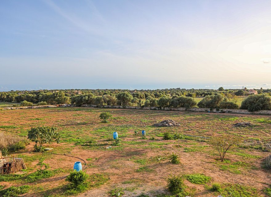 Новобудова - Вілла - Campos