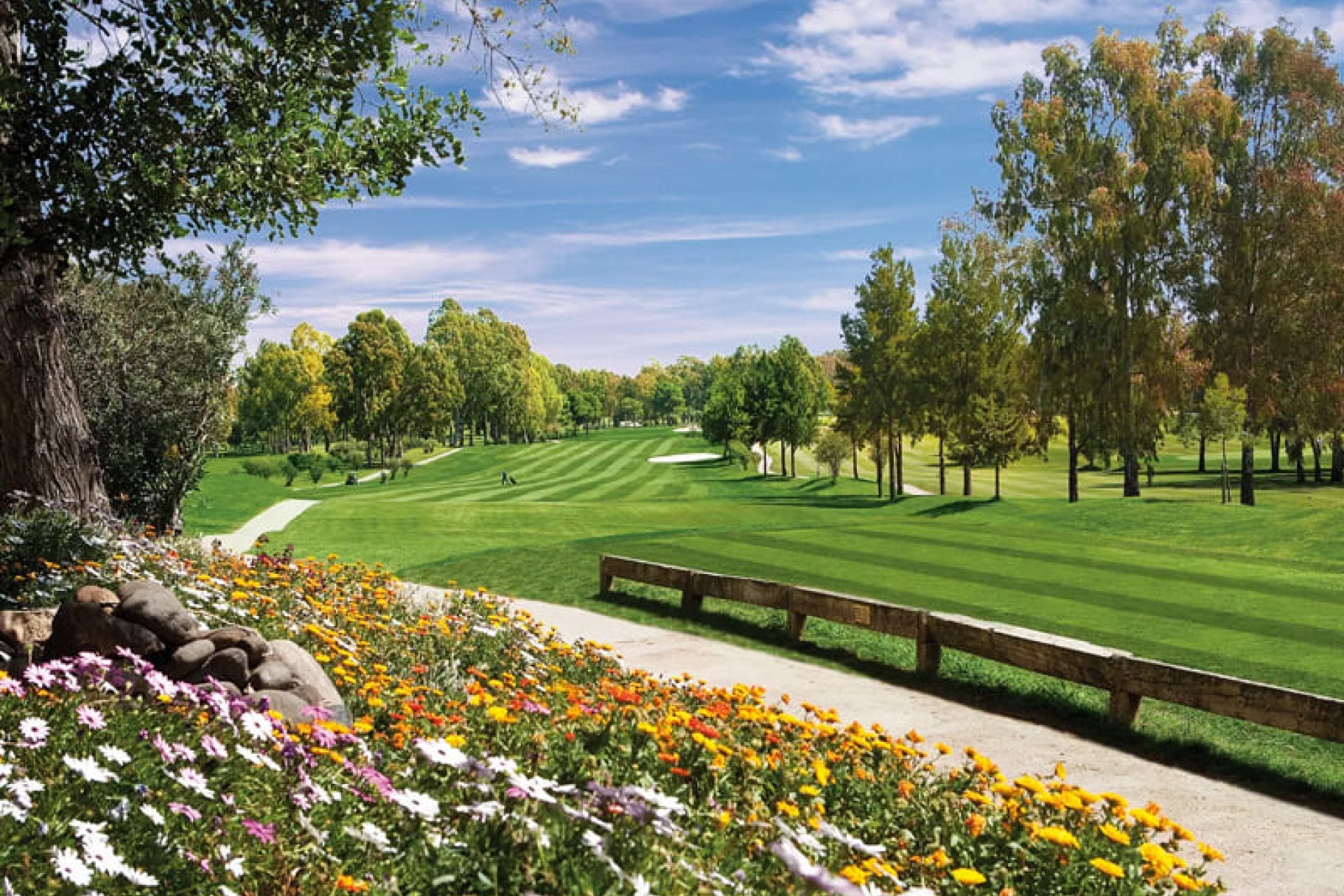 Новобудова - Вілла - Естепона - 