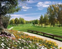 Новобудова - Вілла - Естепона - 