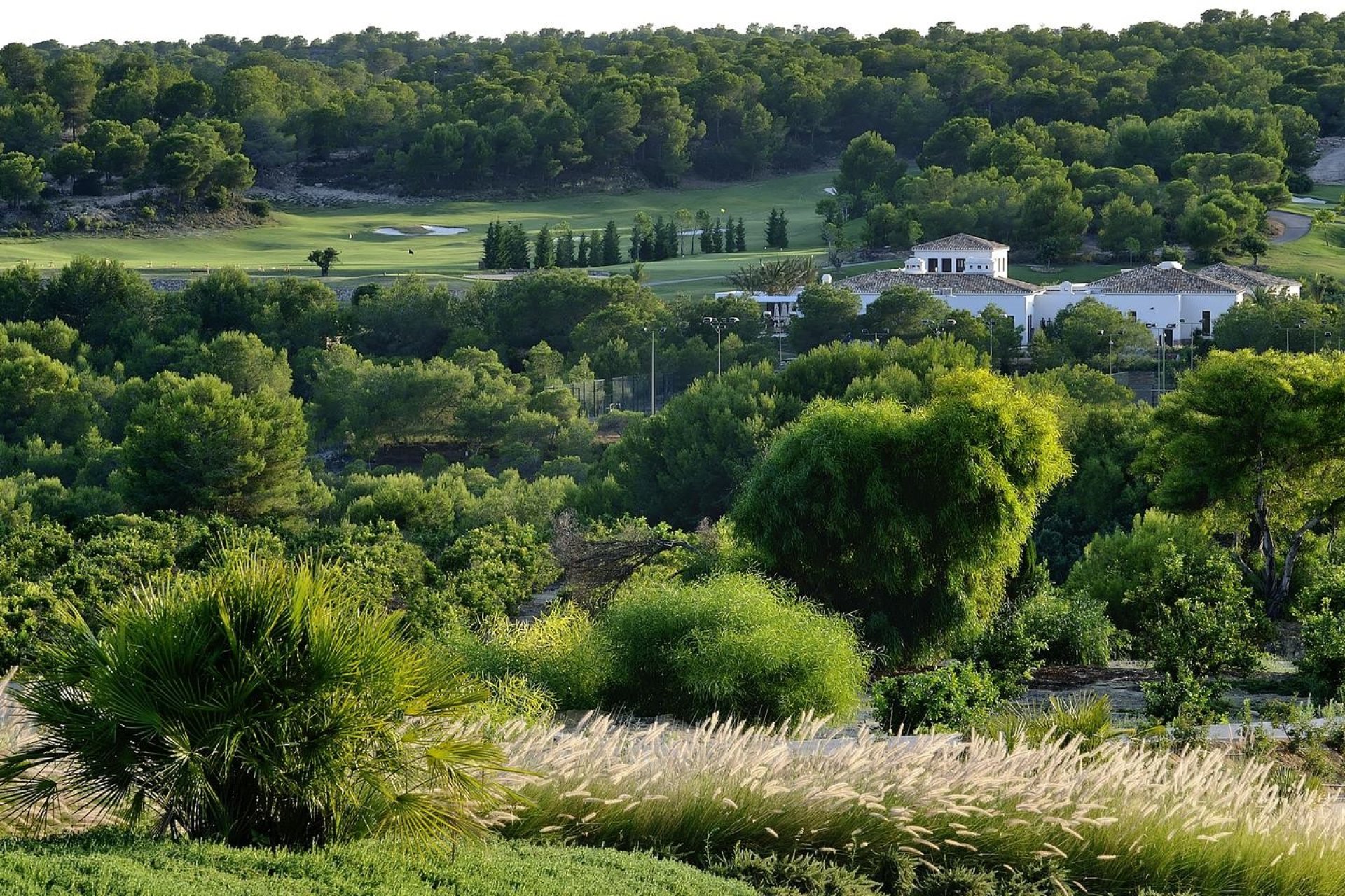 Новобудова - Вілла - Las Colinas Golf - Las Colinas golf