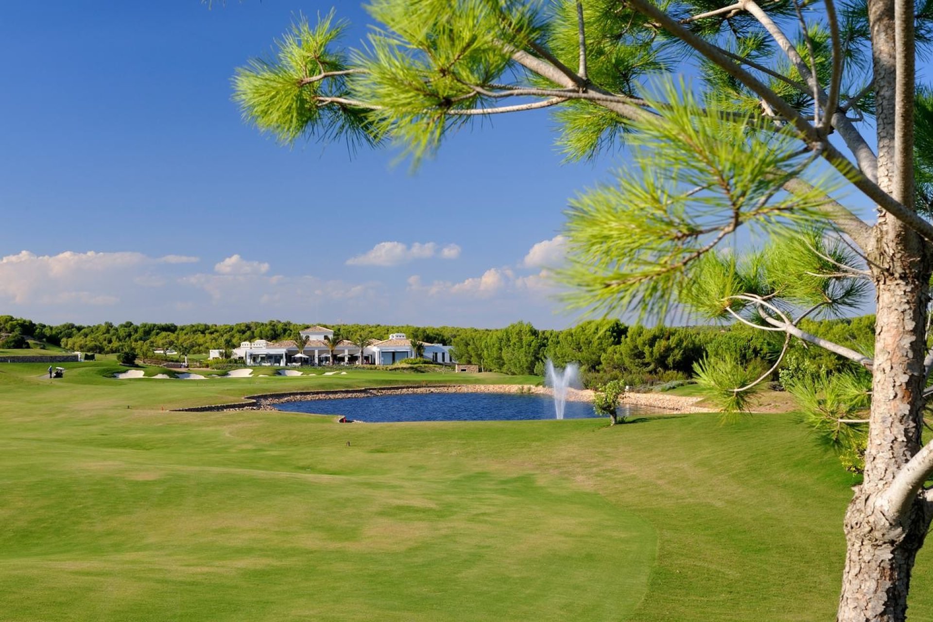 Новобудова - Вілла - Las Colinas Golf - Las Colinas golf