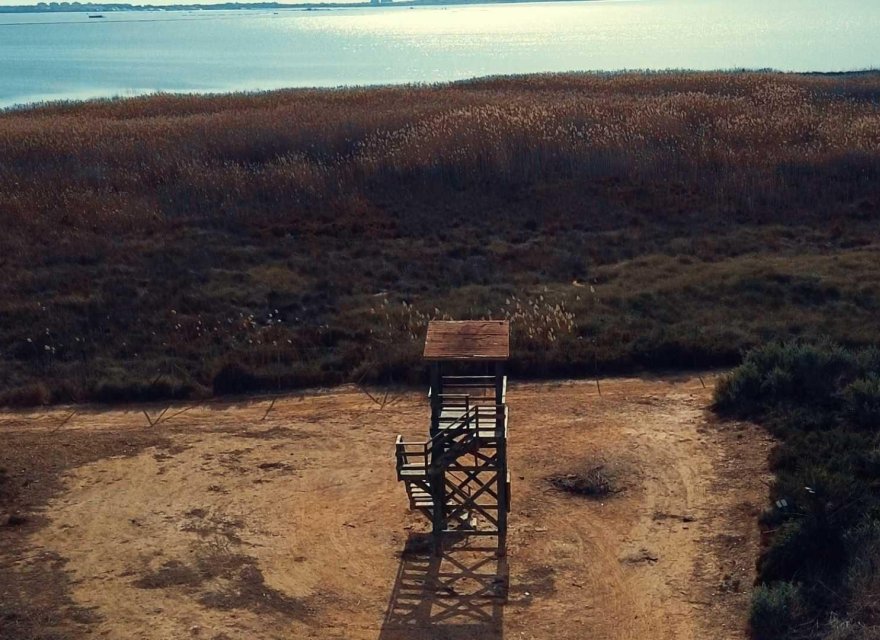 Новобудова - Вілла - Los Montesinos - La Herrada