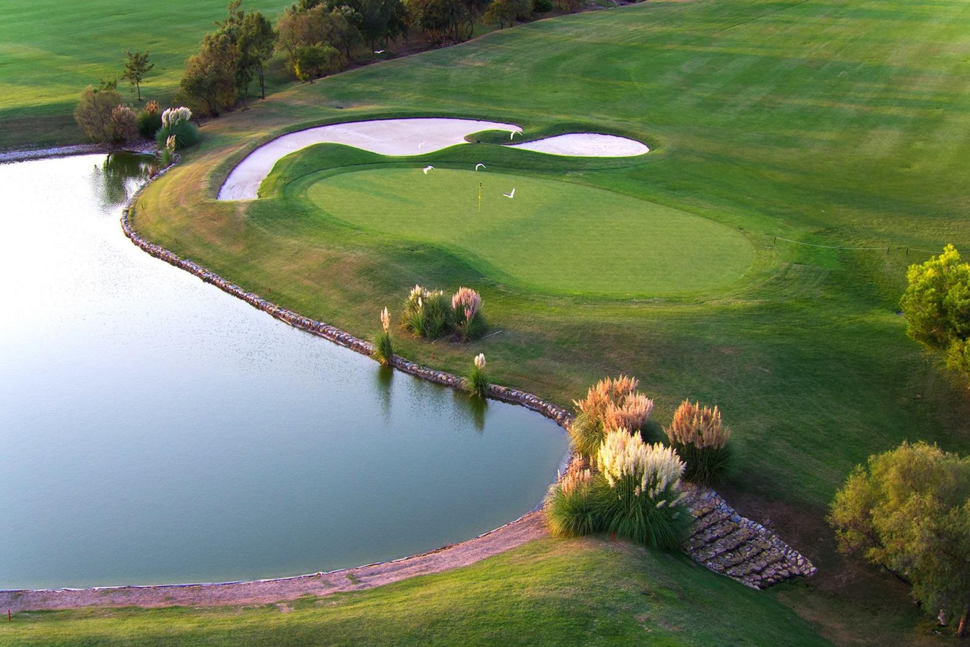 Новобудова - Вілла - Pilar de la Horadada - Lo Romero Golf