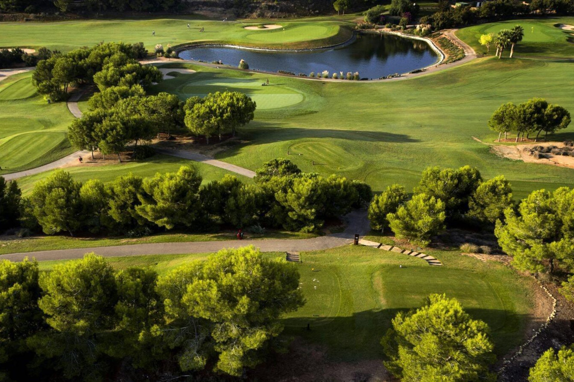 Новобудова - Вілла - Pilar de la Horadada - Lo Romero Golf