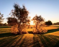 Новобудова - Вілла - Pilar de la Horadada - Lo Romero Golf