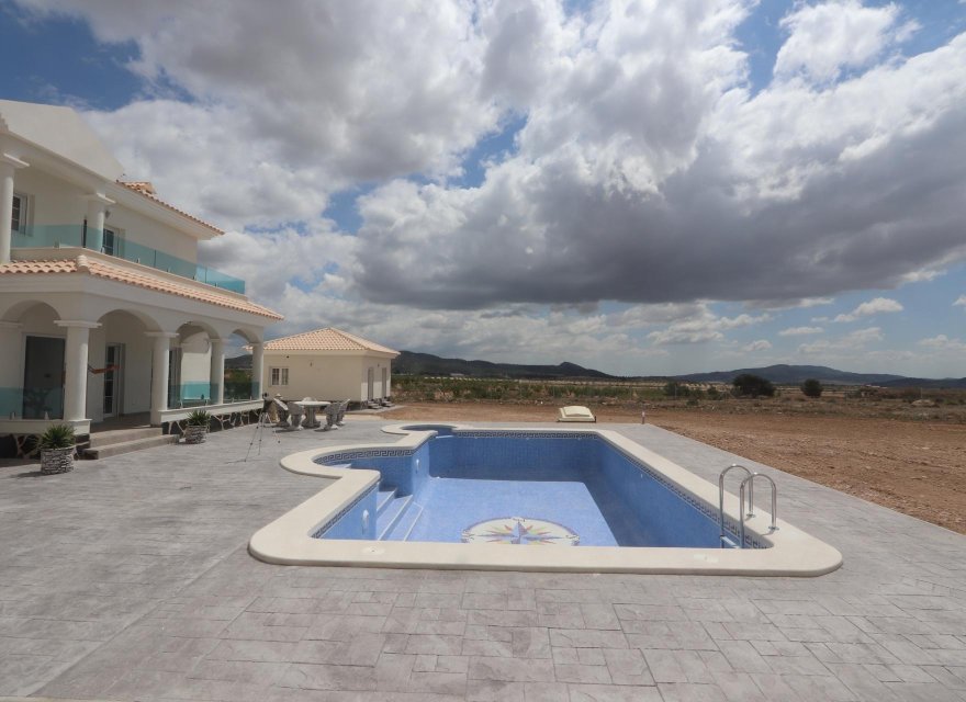 Новобудова - Вілла - Pinoso - Camino Del Prado