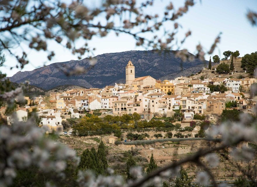 Новобудова - Вілла - Polop - Polop Hills