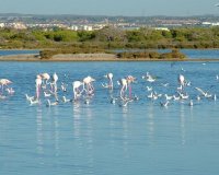 Новобудова - Вілла - San Pedro del Pinatar - Pueblo