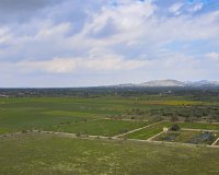 Новобудова - Вілла - Santanyí