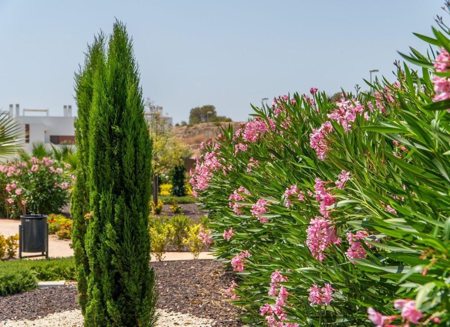 Новострой - Бунгало - Orihuela Costa - Vistabella Golf