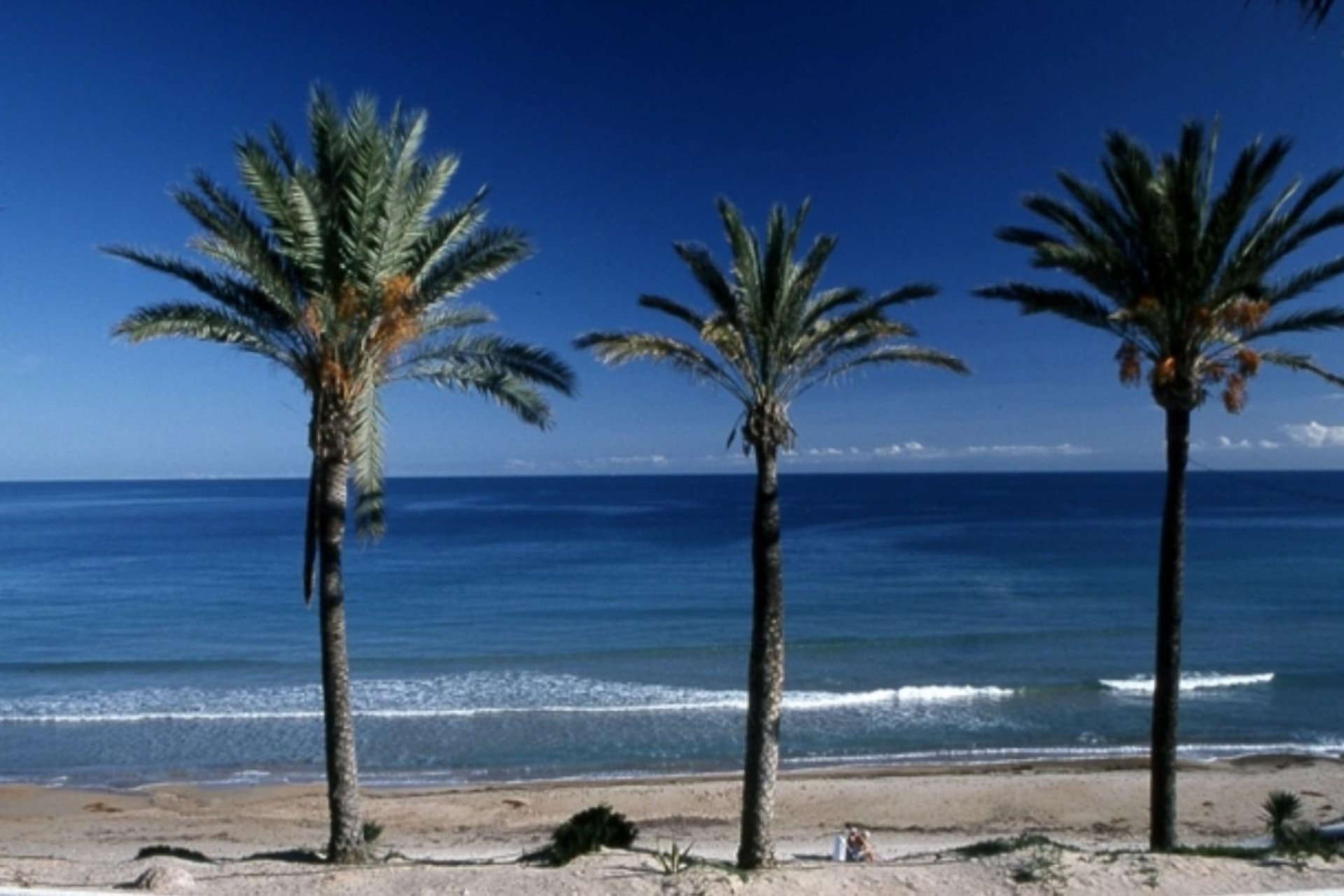 Новострой - Бунгало - Pilar de la Horadada - Parque Ramon eugenio Escudero