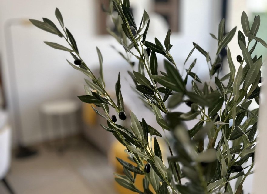 Новострой - Бунгало - San Fulgencio - Pueblo