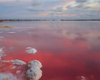 Новострой - Бунгало - Torrevieja - Lago Jardín II