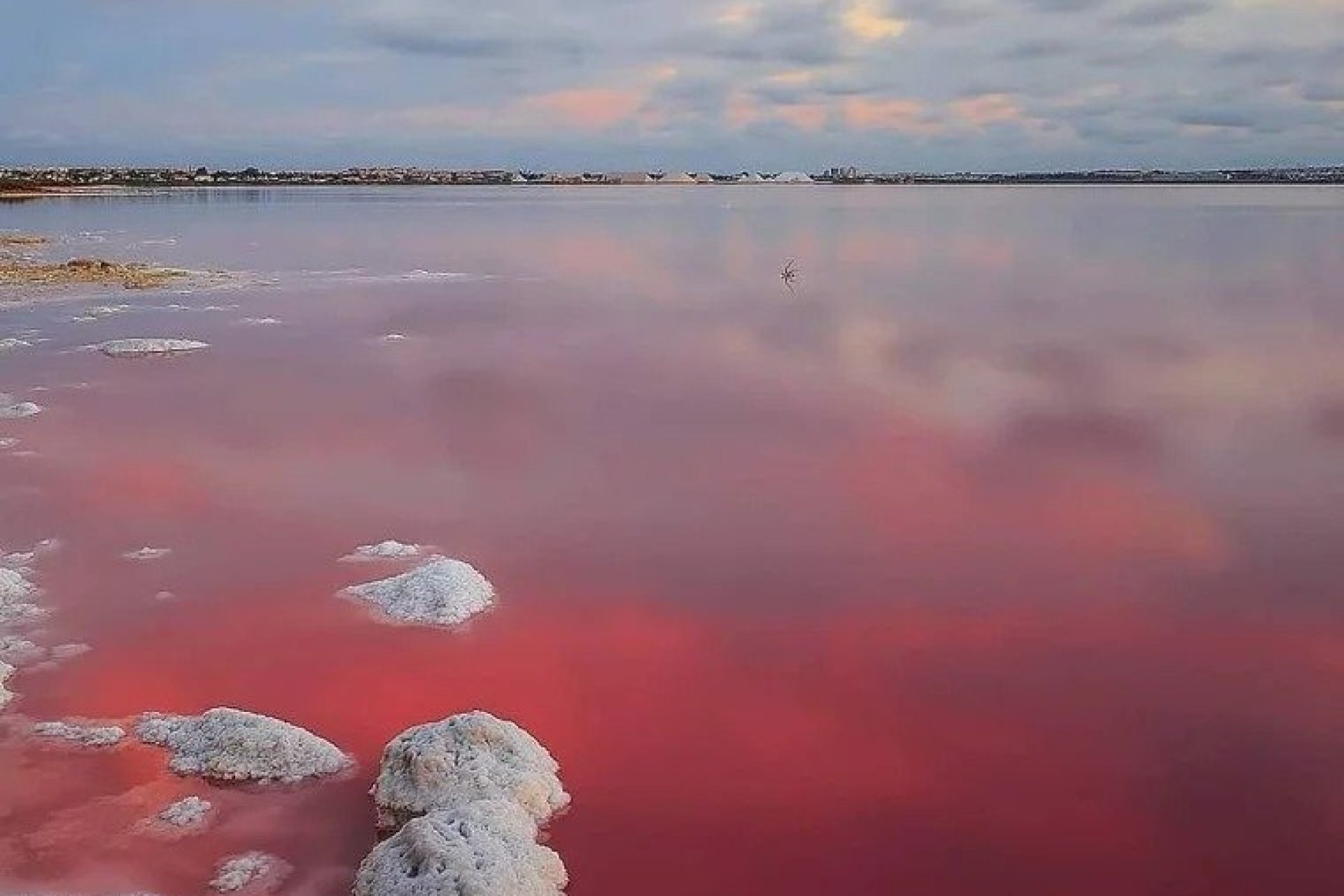 Новострой - Бунгало - Torrevieja - Lago Jardín II