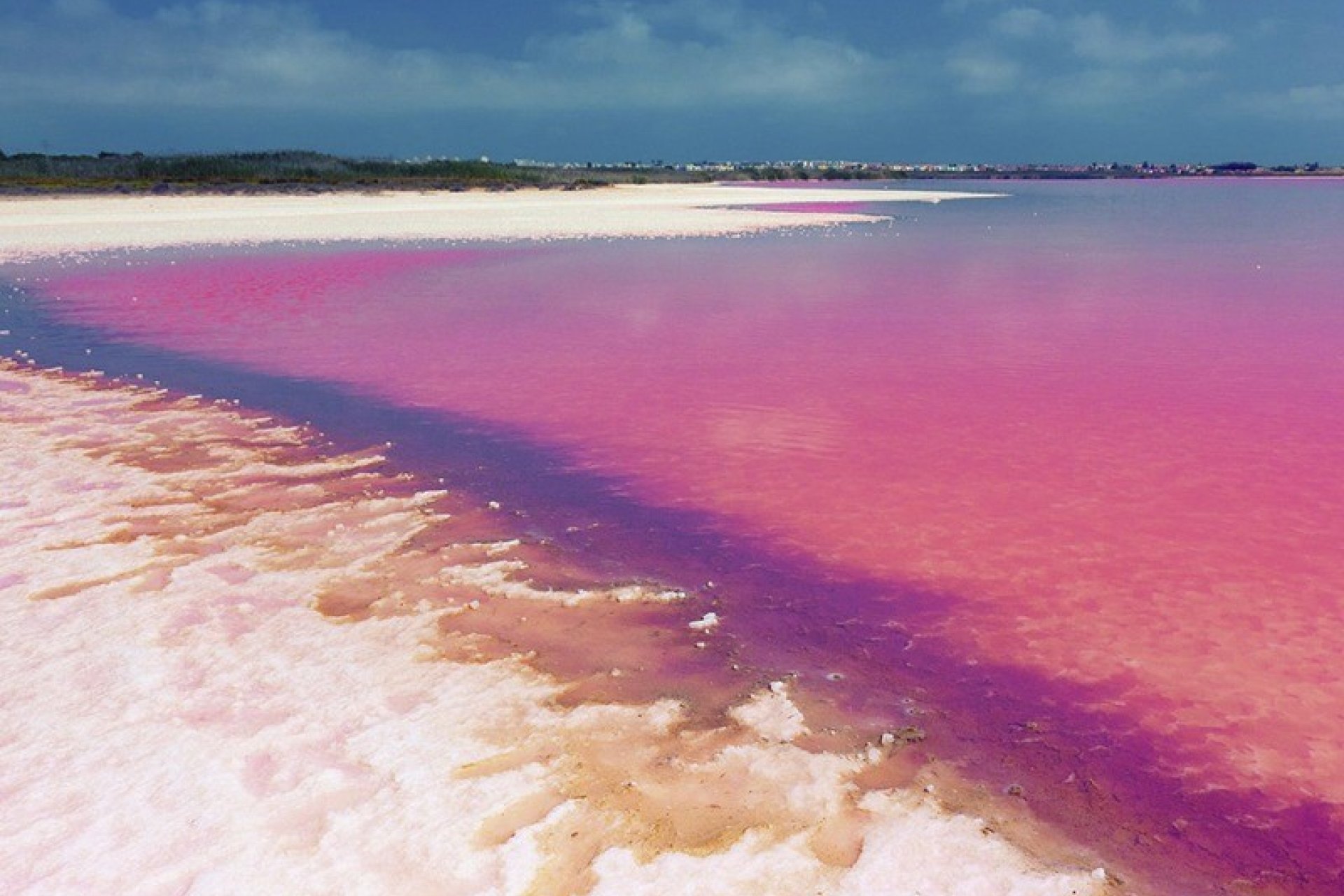 Новострой - Бунгало - Torrevieja - Los Balcones