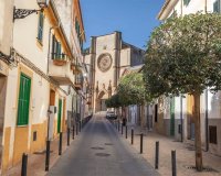 Новострой - Дуплекс - Esporles