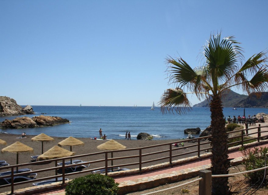 Новострой - Дуплекс - La Union - centro