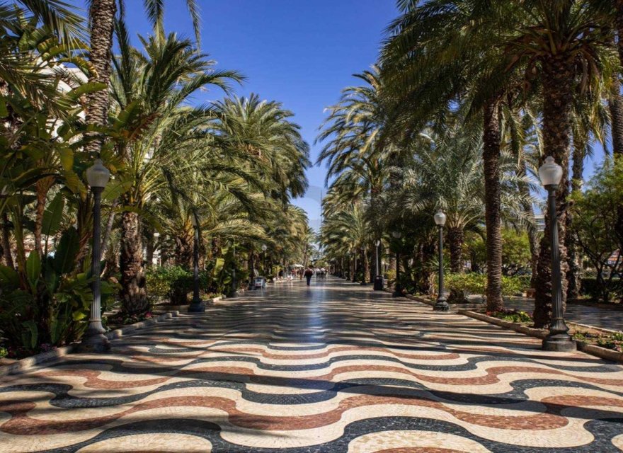 Новострой - Квартира - Alicante - Centro