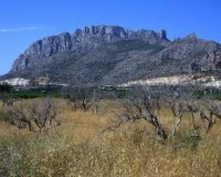 Новострой - Квартира - Denia - El Verger