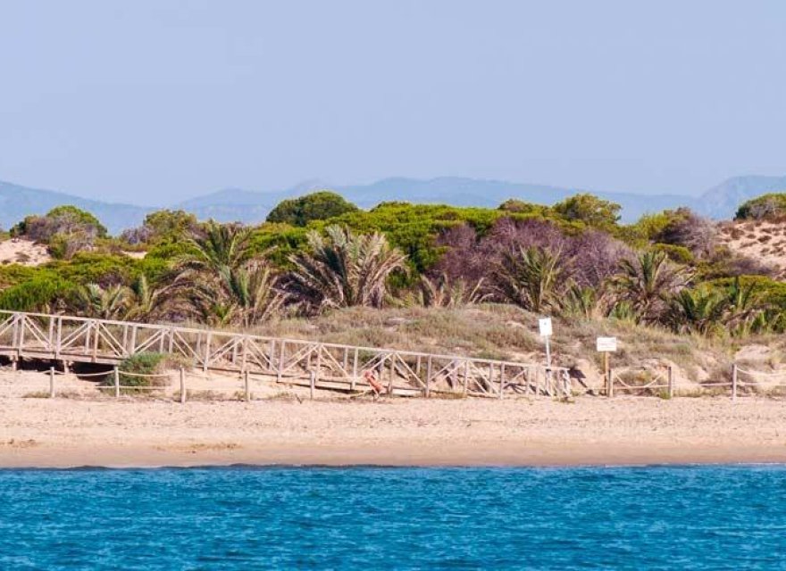 Новострой - Квартира - Guardamar del Segura - Pueblo