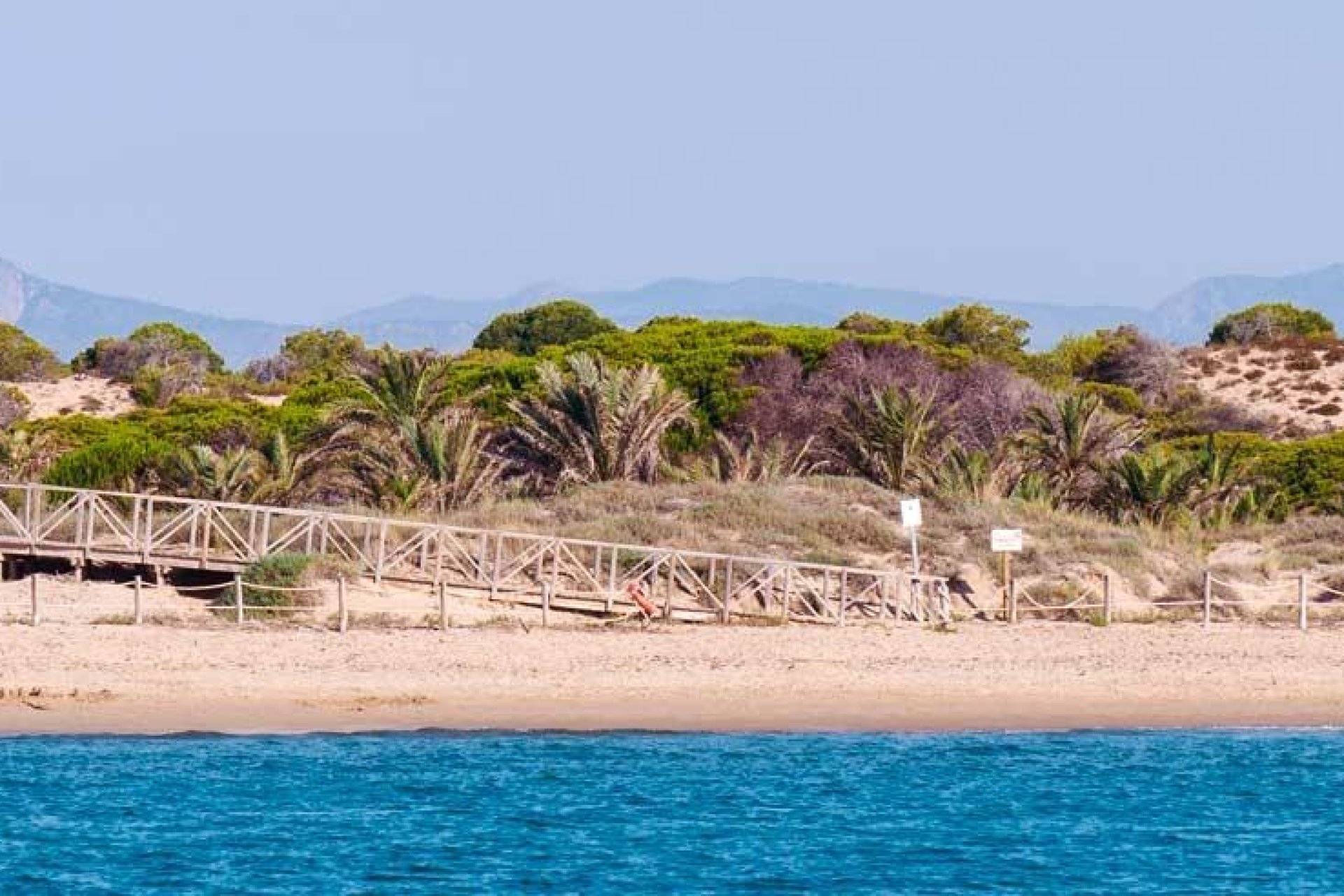 Новострой - Квартира - Guardamar del Segura - Pueblo