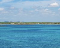 Новострой - Квартира - Sa Rapita