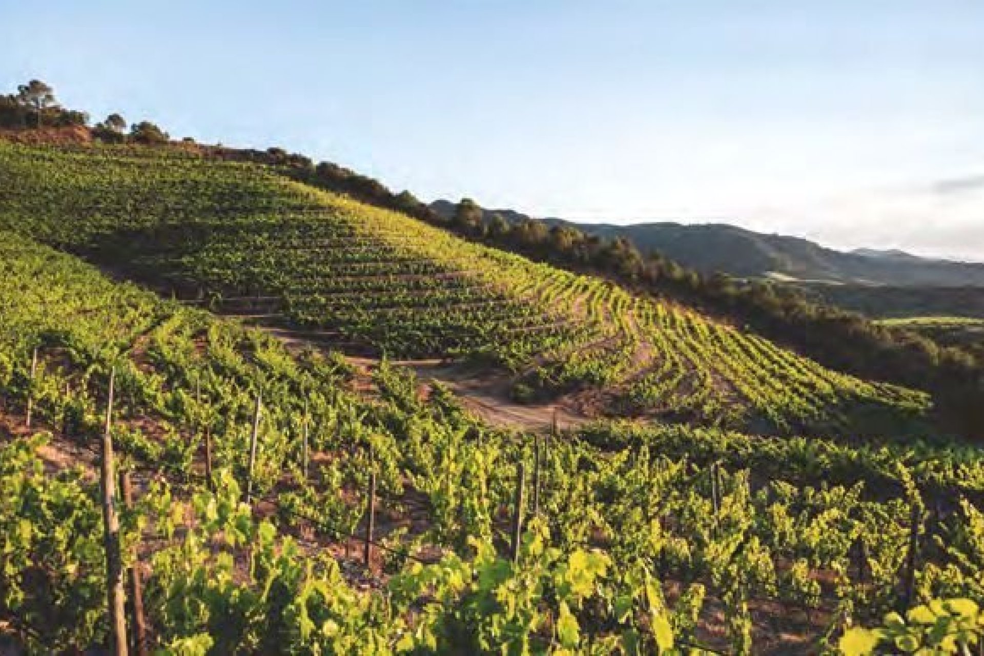 Новострой - Квартира - Salou