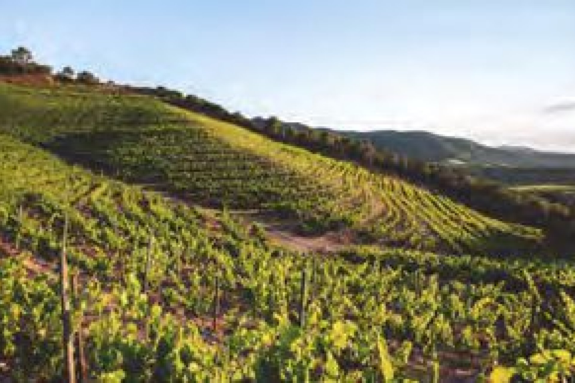 Новострой - Квартира - Salou