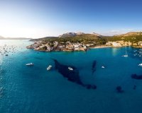 Новострой - Квартира - Sant Elm