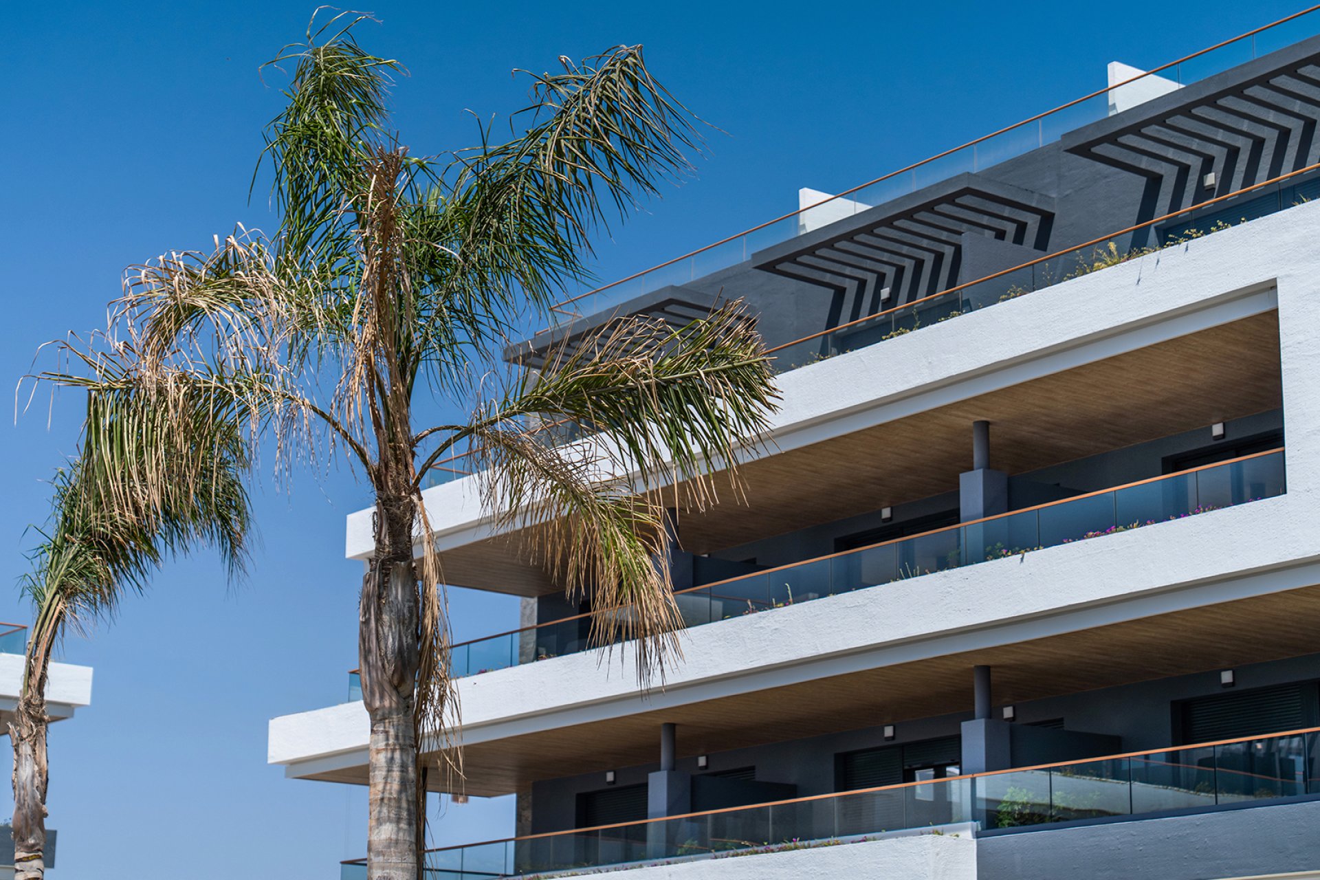 Новострой - Квартира - Torrevieja - Spain