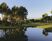 Новострой - Квартира - Torrevieja