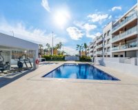 Новострой - Квартира - Torrevieja