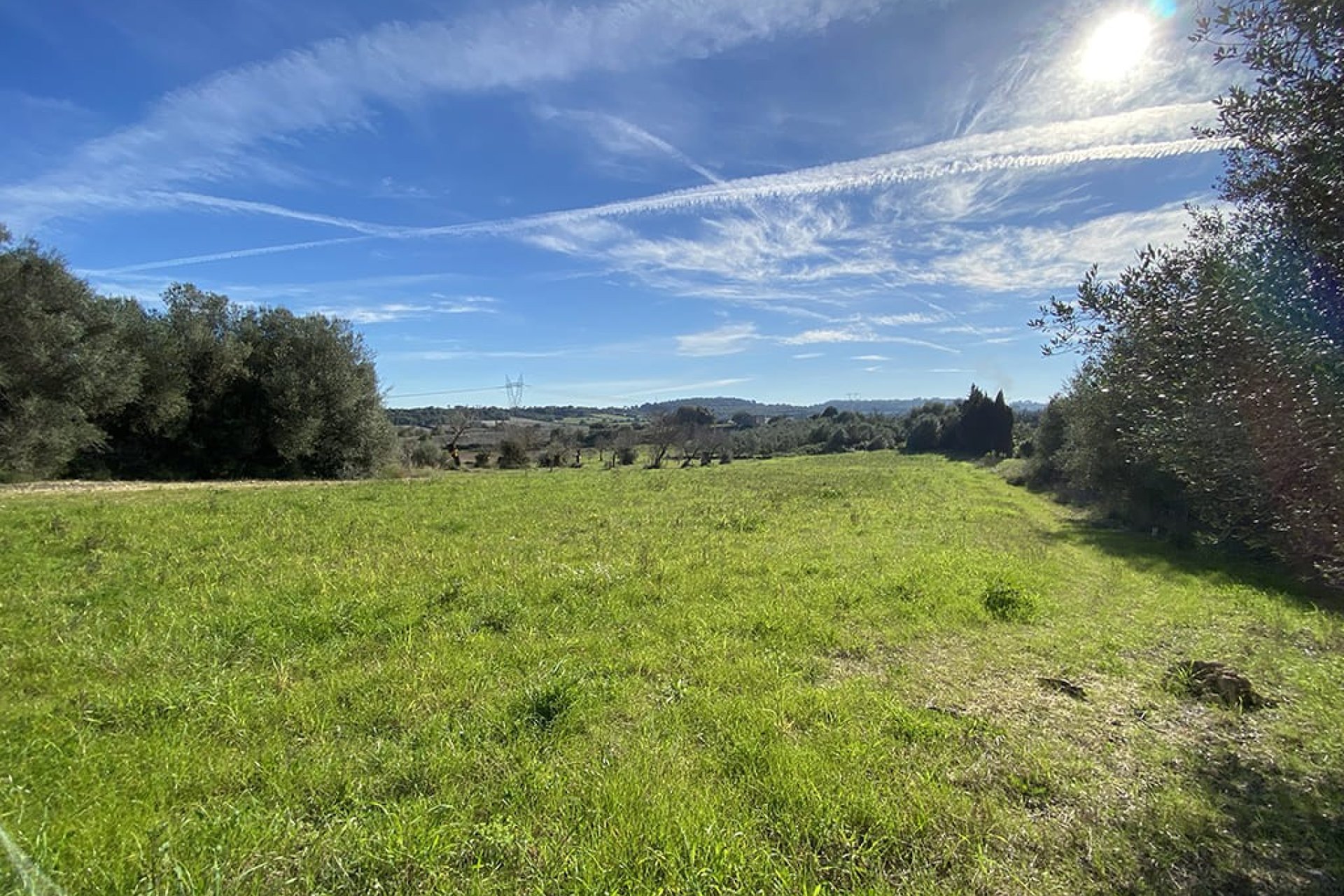 Новострой - Участок - Muro