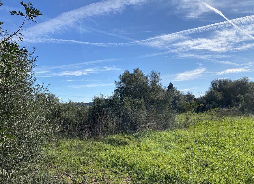 Новострой - Участок - Muro