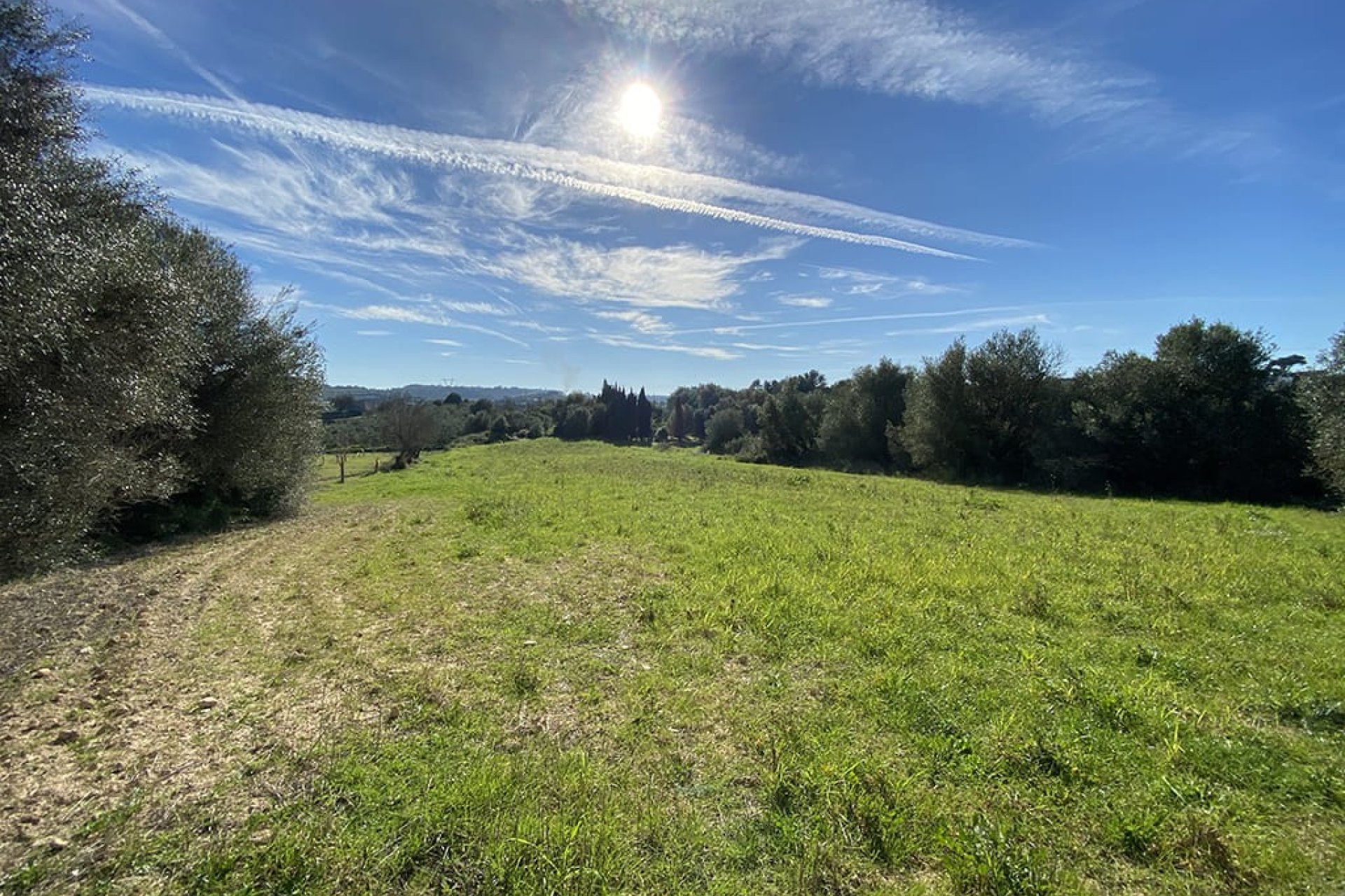 Новострой - Участок - Muro