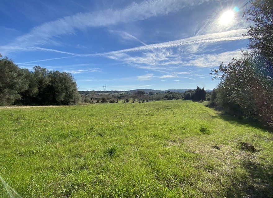 Новострой - Участок - Muro