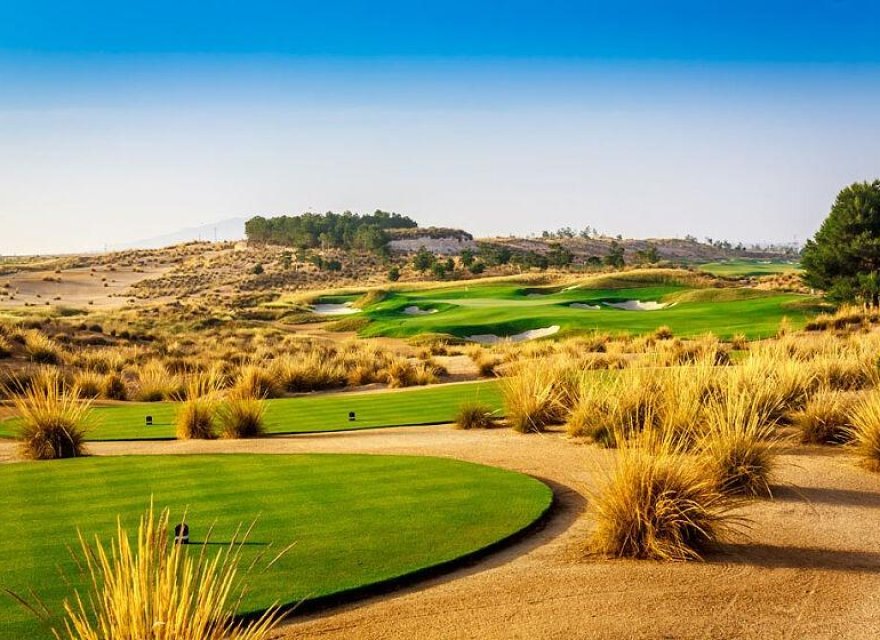 Новострой - Вилла - Alhama De Murcia - Condado De Alhama