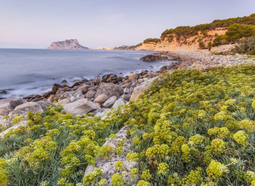 Новострой - Вилла - Benissa - Cala Advocat