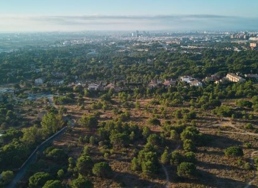 Новострой - Вилла - Godella - Campolivar