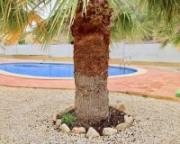 Новострой - Вилла - La Romana - Villas de la Romana