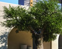 Новострой - Вилла - Moraira