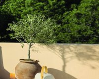 Новострой - Вилла - Moraira