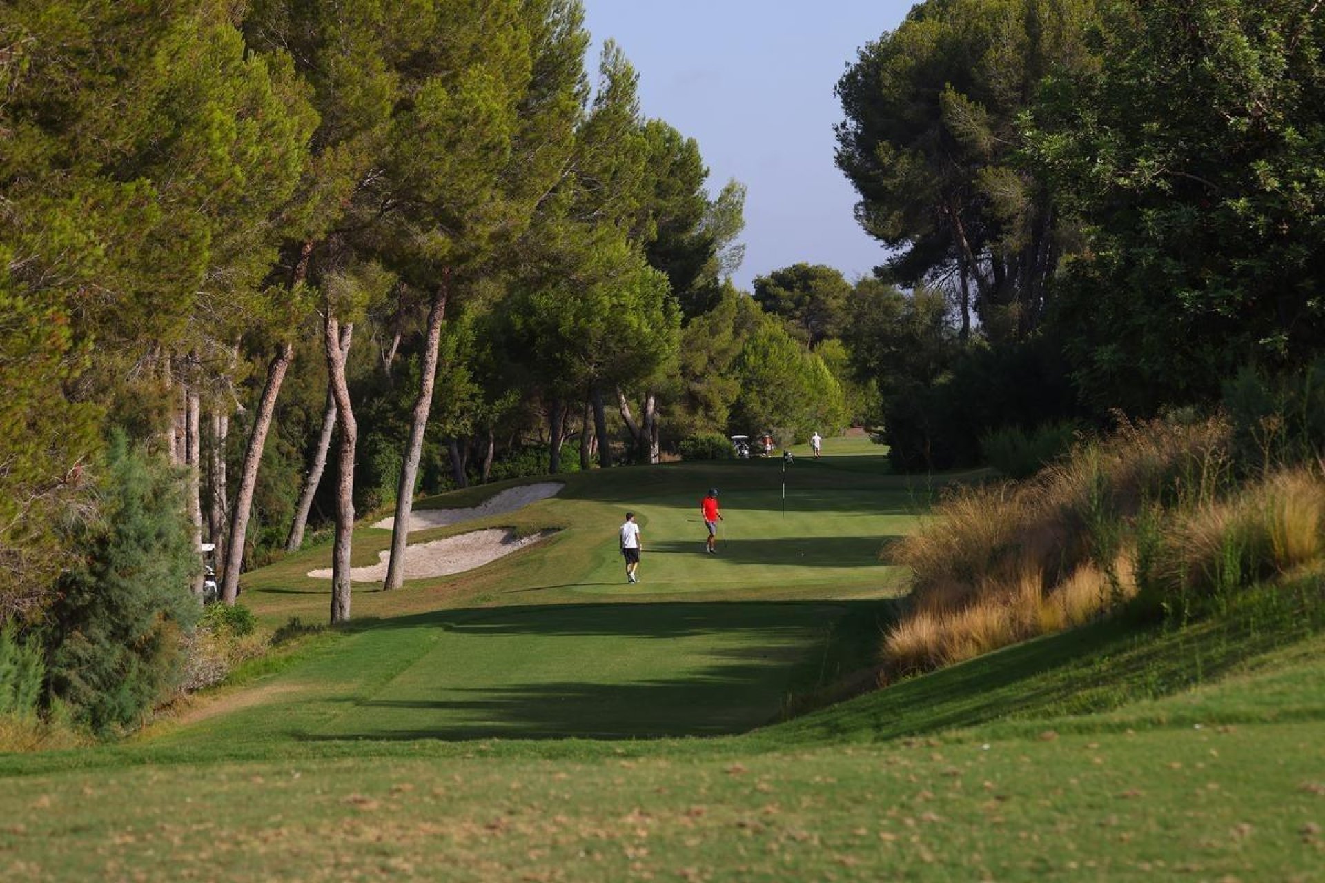 Новострой - Вилла - Ориуэла Коста - Las Colinas Golf