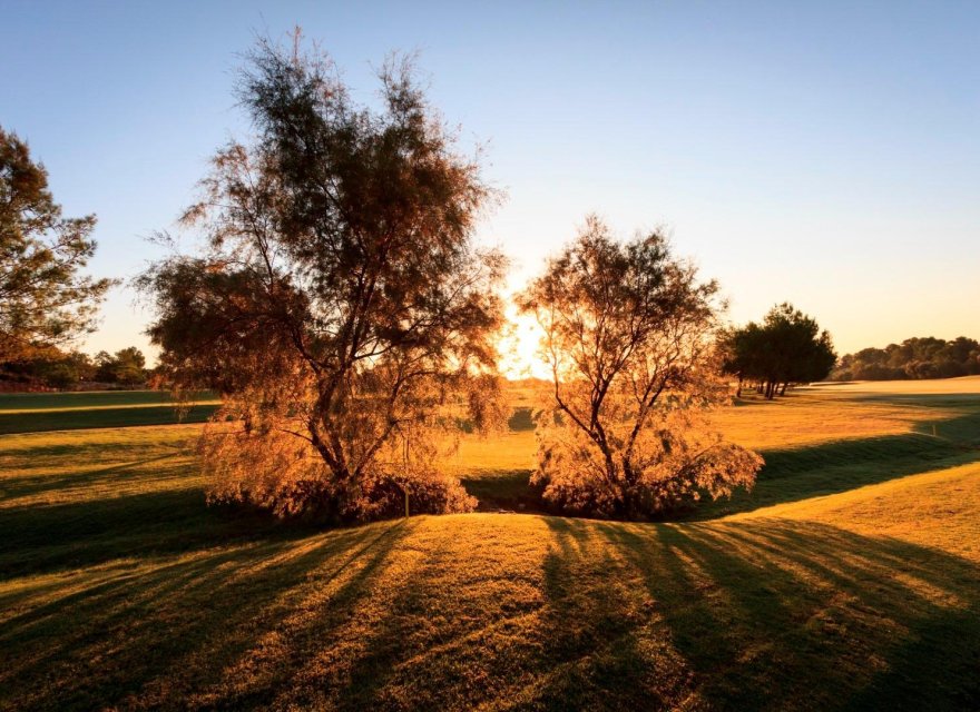 Новострой - Вилла - Pilar de la Horadada - Lo Romero Golf