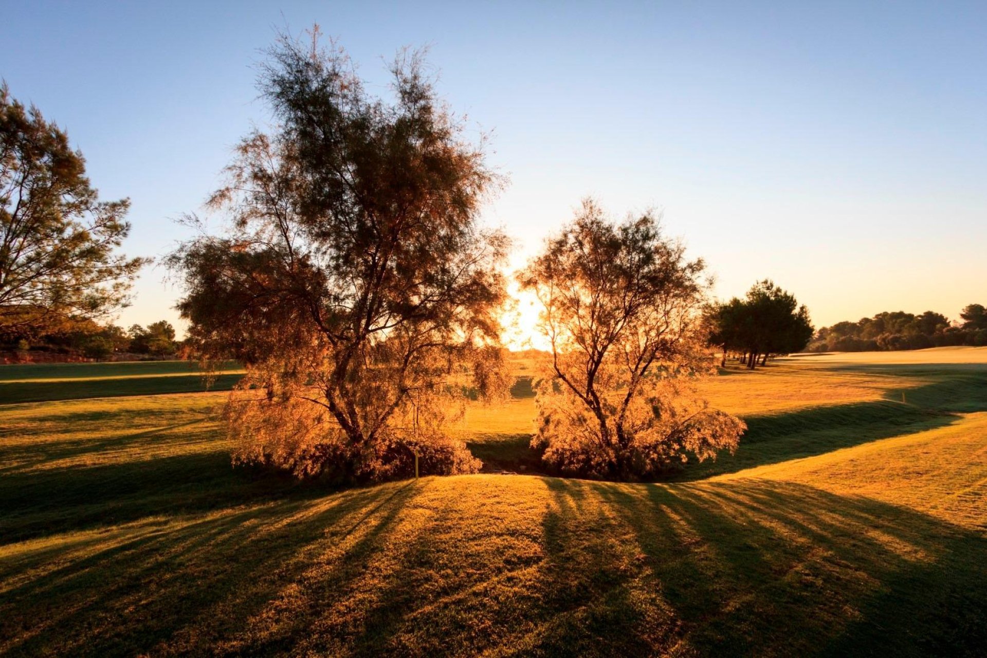 Новострой - Вилла - Pilar de la Horadada - Lo Romero Golf