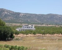 Новострой - Вилла - Pinoso - Camino Del Prado