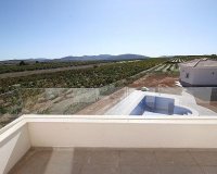 Новострой - Вилла - Pinoso - Camino Del Prado