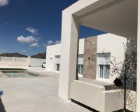 Новострой - Вилла - Pinoso - Casas Pastor